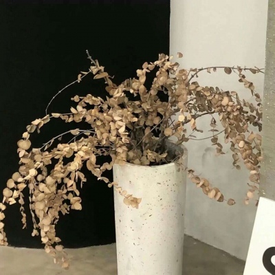 横县福瑞交流群